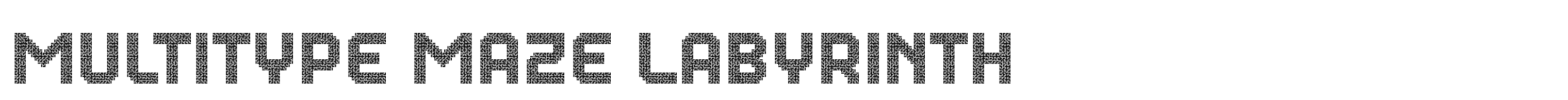 MultiType Maze Labyrinth